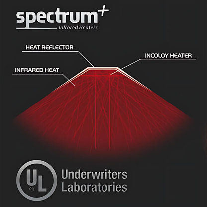 FD-2 Full-Spectrum Infrared Sauna